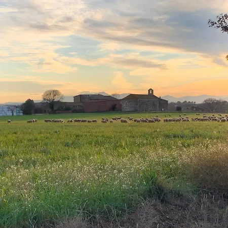 L'Heura Villa Navata Buitenkant foto